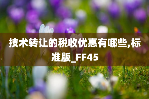 技术转让的税收优惠有哪些,标准版_FF45