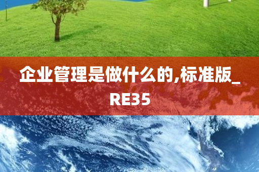 企业管理是做什么的,标准版_RE35