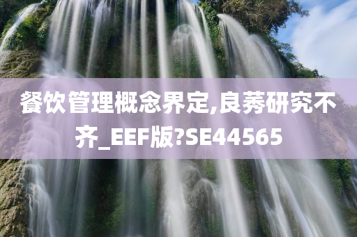 餐饮管理概念界定,良莠研究不齐_EEF版?SE44565