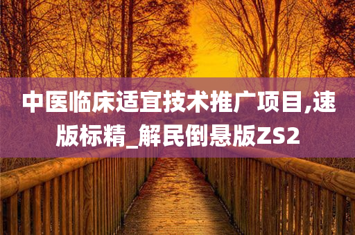 中医临床适宜技术推广项目,速版标精_解民倒悬版ZS2