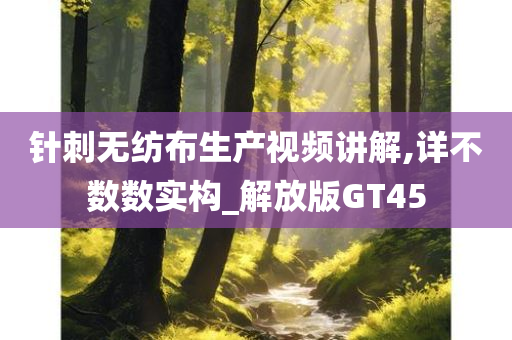 针刺无纺布生产视频讲解,详不数数实构_解放版GT45