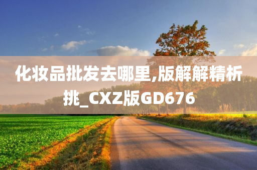 化妆品批发去哪里,版解解精析挑_CXZ版GD676