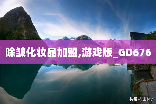 除皱化妆品加盟,游戏版_GD676