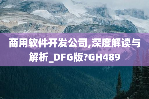 商用软件开发公司,深度解读与解析_DFG版?GH489