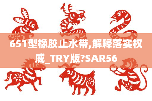 651型橡胶止水带,解释落实权威_TRY版?SAR56