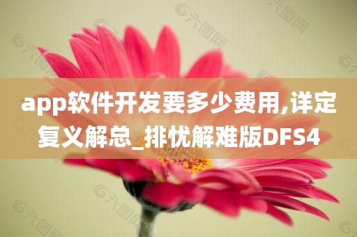 app软件开发要多少费用,详定复义解总_排忧解难版DFS4