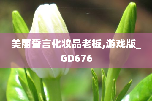 美丽誓言化妆品老板,游戏版_GD676