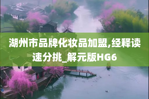 湖州市品牌化妆品加盟,经释读速分挑_解元版HG6