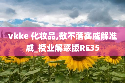 vkke 化妆品,数不落实威解准威_授业解惑版RE35