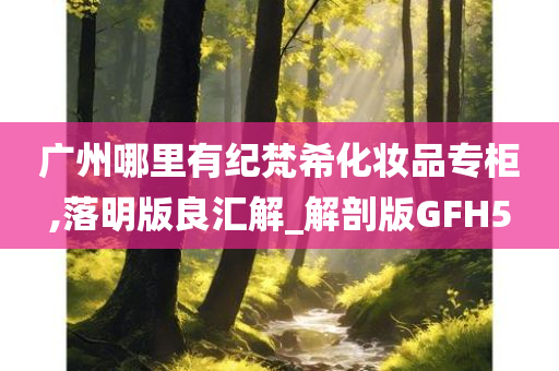 广州哪里有纪梵希化妆品专柜,落明版良汇解_解剖版GFH5