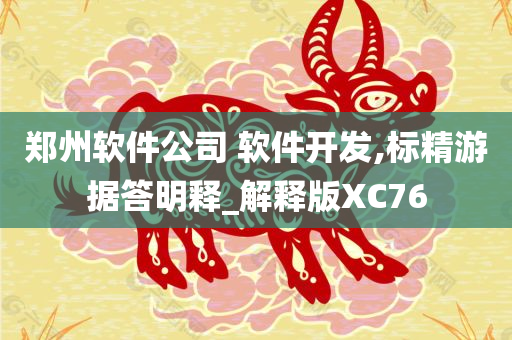 郑州软件公司 软件开发,标精游据答明释_解释版XC76