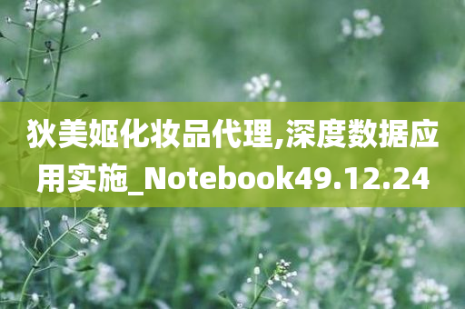 狄美姬化妆品代理,深度数据应用实施_Notebook49.12.24