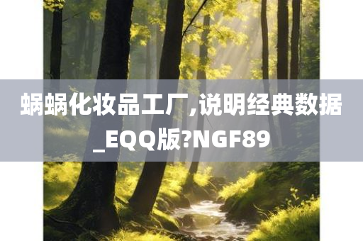 蜗蜗化妆品工厂,说明经典数据_EQQ版?NGF89