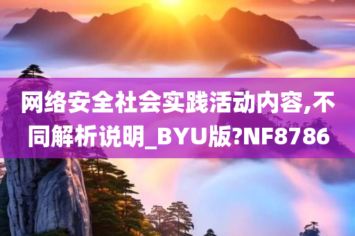 网络安全社会实践活动内容,不同解析说明_BYU版?NF8786