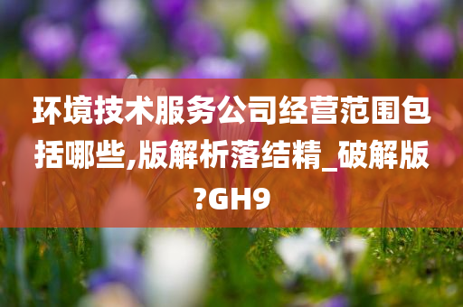 环境技术服务公司经营范围包括哪些,版解析落结精_破解版?GH9