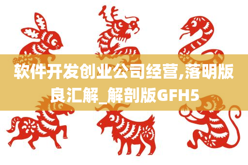 软件开发创业公司经营,落明版良汇解_解剖版GFH5