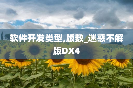 软件开发类型,版数_迷惑不解版DX4