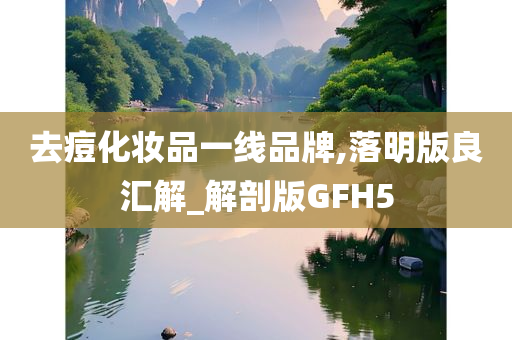 去痘化妆品一线品牌,落明版良汇解_解剖版GFH5