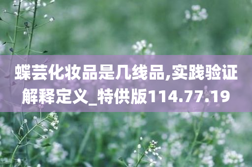 蝶芸化妆品是几线品,实践验证解释定义_特供版114.77.19