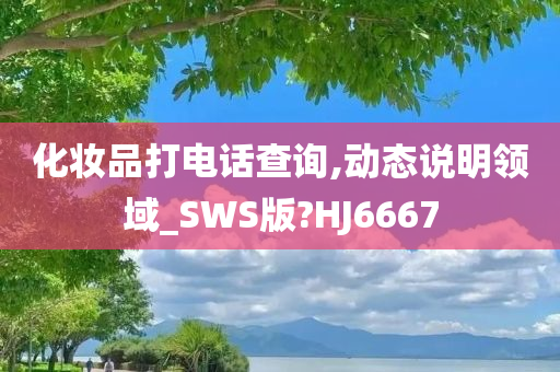 化妆品打电话查询,动态说明领域_SWS版?HJ6667