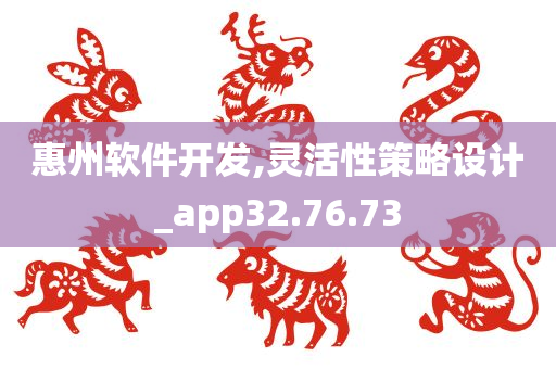 惠州软件开发,灵活性策略设计_app32.76.73