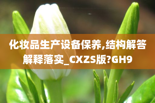 化妆品生产设备保养,结构解答解释落实_CXZS版?GH9