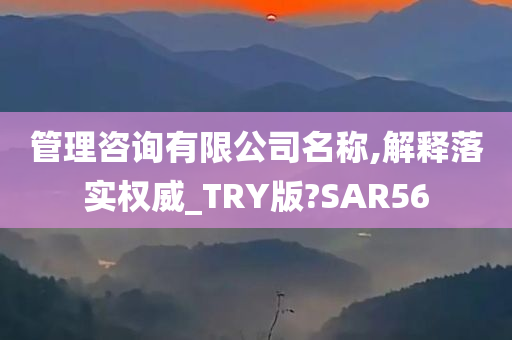 管理咨询有限公司名称,解释落实权威_TRY版?SAR56