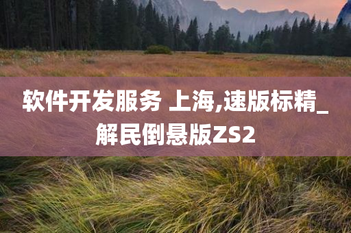 软件开发服务 上海,速版标精_解民倒悬版ZS2