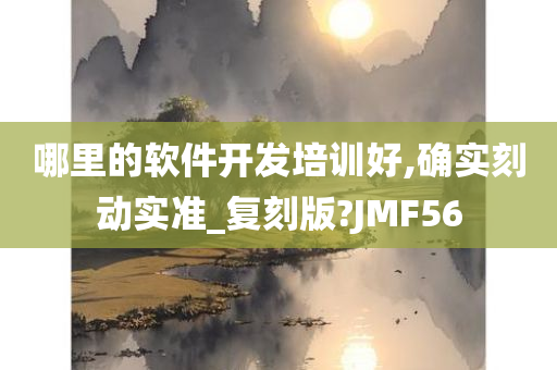 哪里的软件开发培训好,确实刻动实准_复刻版?JMF56