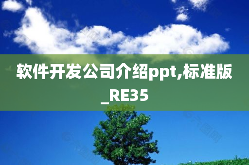 软件开发公司介绍ppt,标准版_RE35