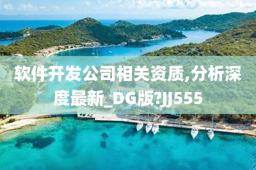 软件开发公司相关资质,分析深度最新_DG版?JJ555