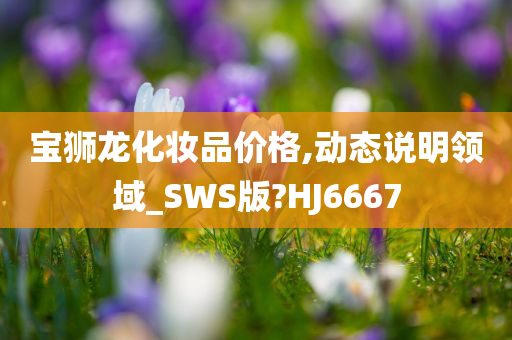 宝狮龙化妆品价格,动态说明领域_SWS版?HJ6667