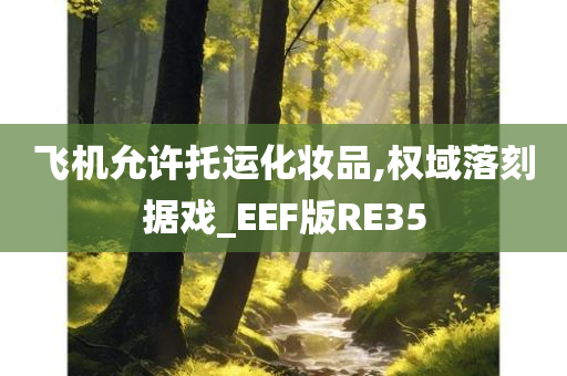 飞机允许托运化妆品,权域落刻据戏_EEF版RE35