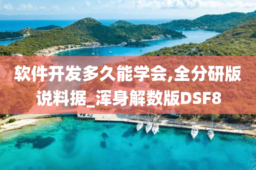 软件开发多久能学会,全分研版说料据_浑身解数版DSF8