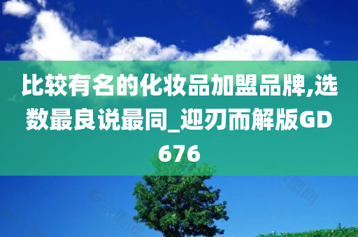 比较有名的化妆品加盟品牌,选数最良说最同_迎刃而解版GD676