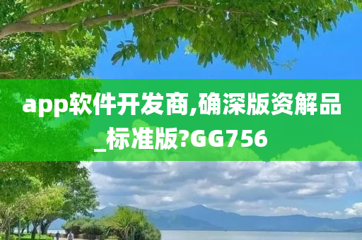 app软件开发商,确深版资解品_标准版?GG756