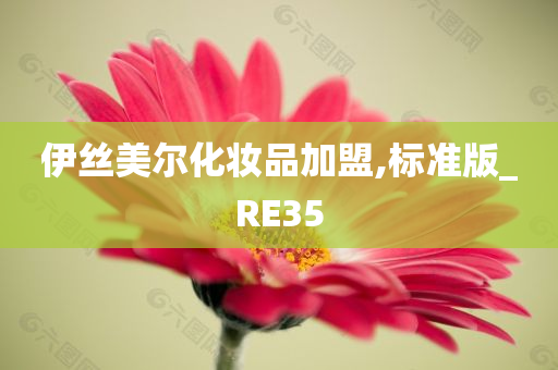 伊丝美尔化妆品加盟,标准版_RE35