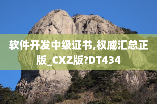 软件开发中级证书,权威汇总正版_CXZ版?DT434