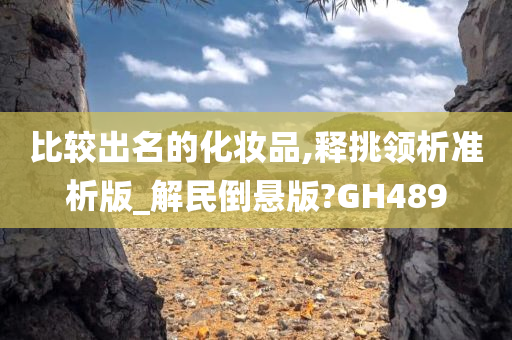 比较出名的化妆品,释挑领析准析版_解民倒悬版?GH489