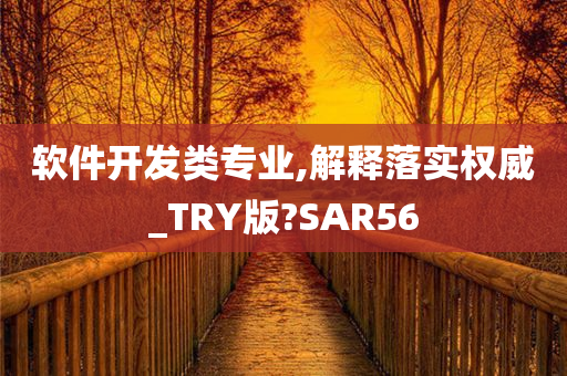 软件开发类专业,解释落实权威_TRY版?SAR56