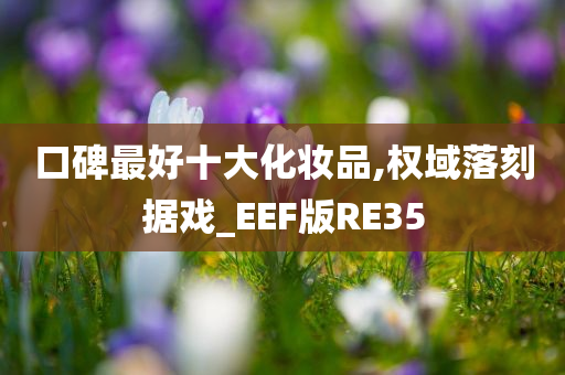 口碑最好十大化妆品,权域落刻据戏_EEF版RE35