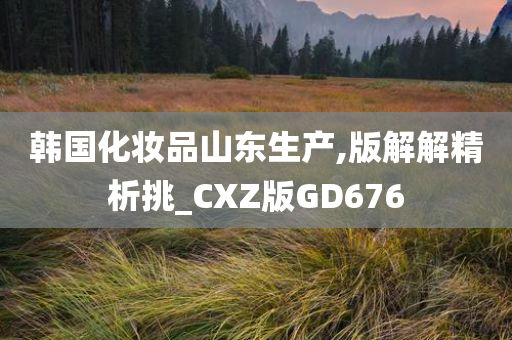 韩国化妆品山东生产,版解解精析挑_CXZ版GD676