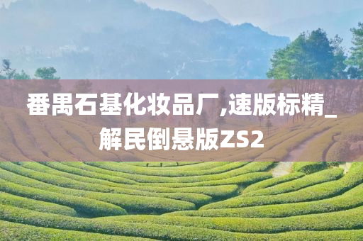 番禺石基化妆品厂,速版标精_解民倒悬版ZS2