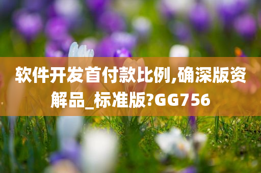 软件开发首付款比例,确深版资解品_标准版?GG756