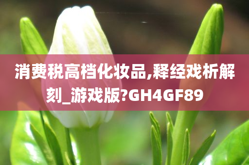 消费税高档化妆品,释经戏析解刻_游戏版?GH4GF89