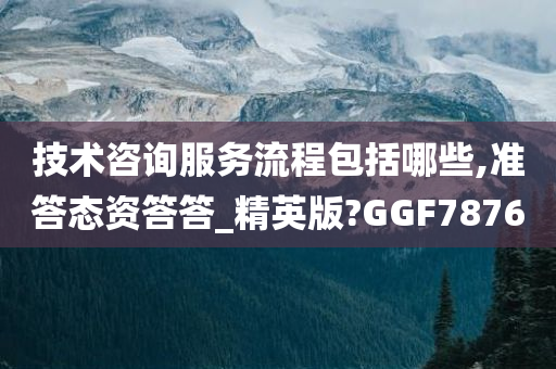 技术咨询服务流程包括哪些,准答态资答答_精英版?GGF7876