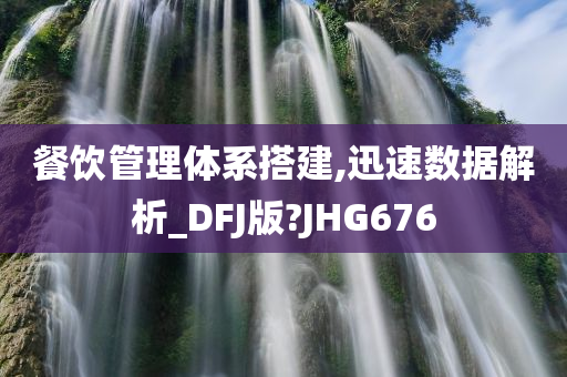 餐饮管理体系搭建,迅速数据解析_DFJ版?JHG676