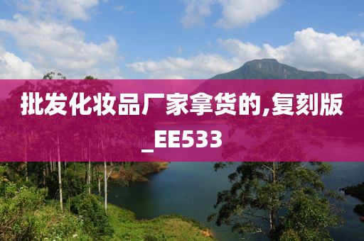 批发化妆品厂家拿货的,复刻版_EE533