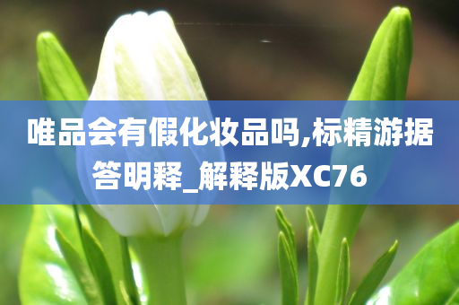 唯品会有假化妆品吗,标精游据答明释_解释版XC76