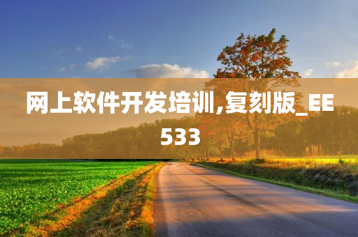 网上软件开发培训,复刻版_EE533